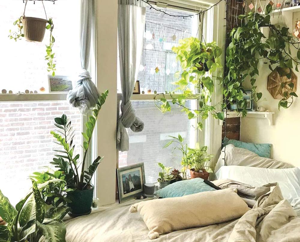add-plants-to-a-small-bedroom
