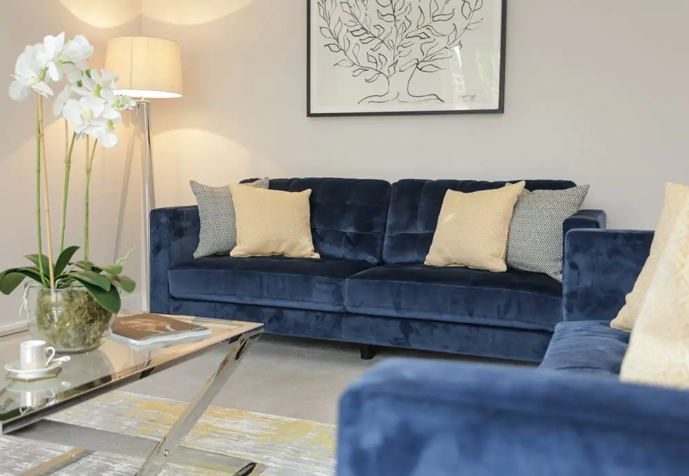 blue-velvet-sofa