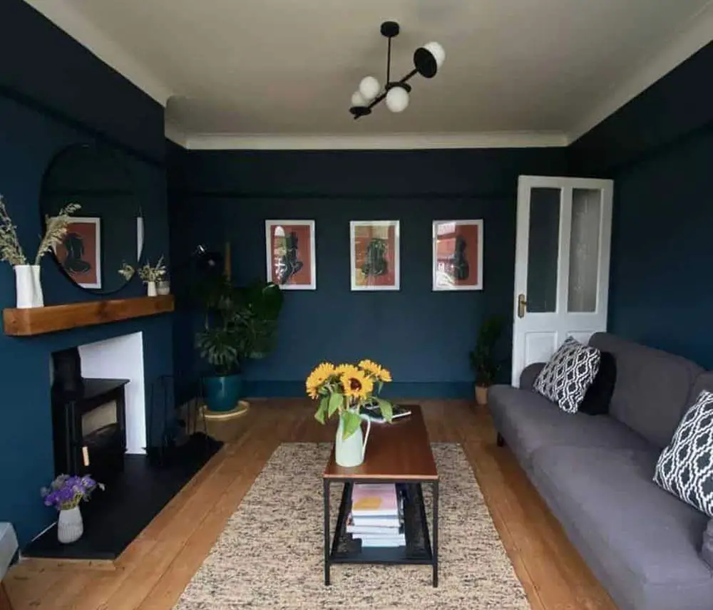 create-a-navy-blue-show-home-living-space