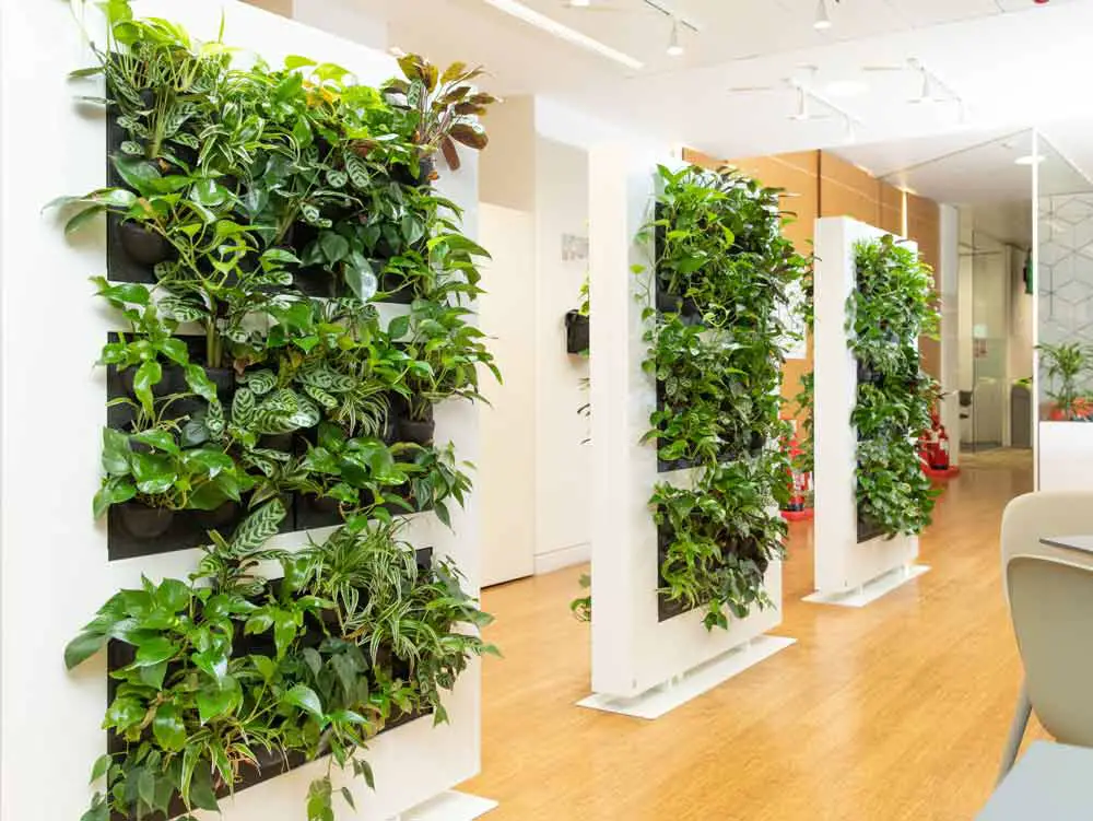 greenery-wall-room-divider
