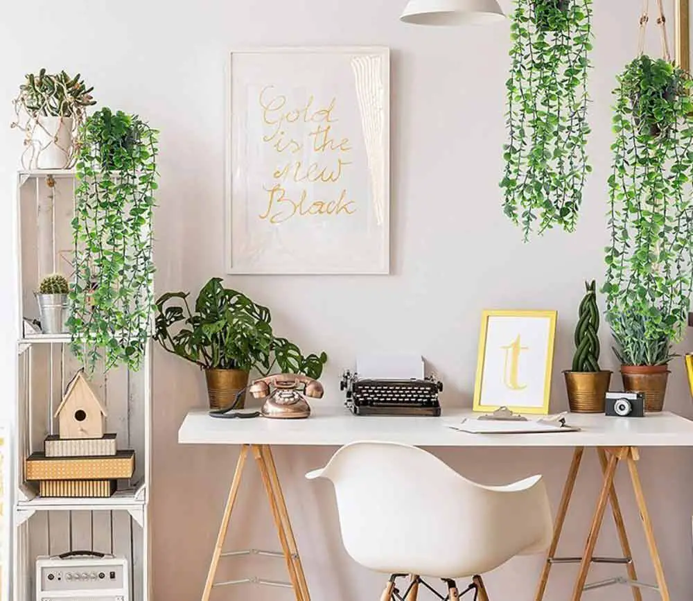 hanging-plants-in-home-office