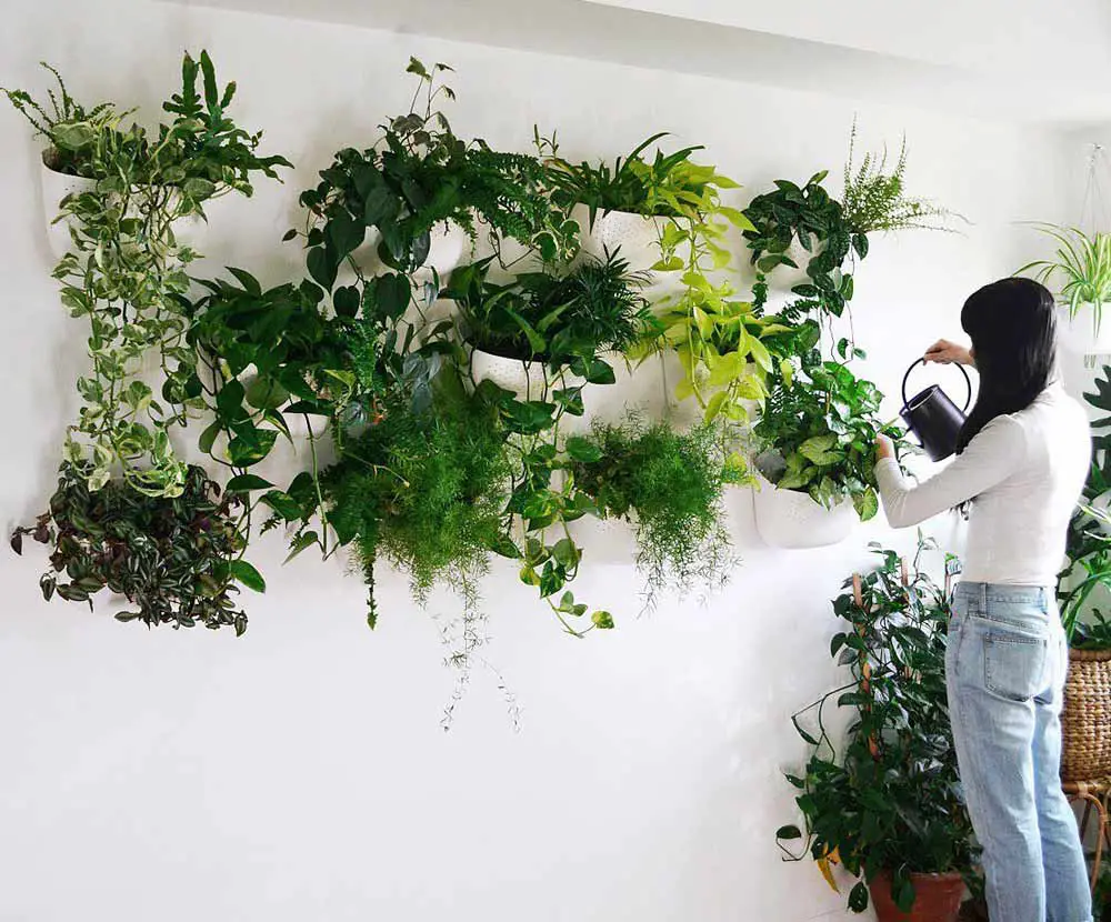 indoor-plant-wall