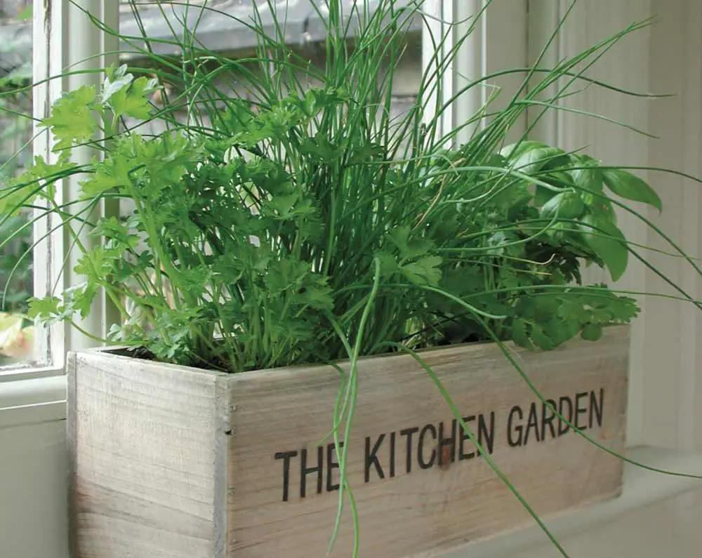 kitchen-herb-planter