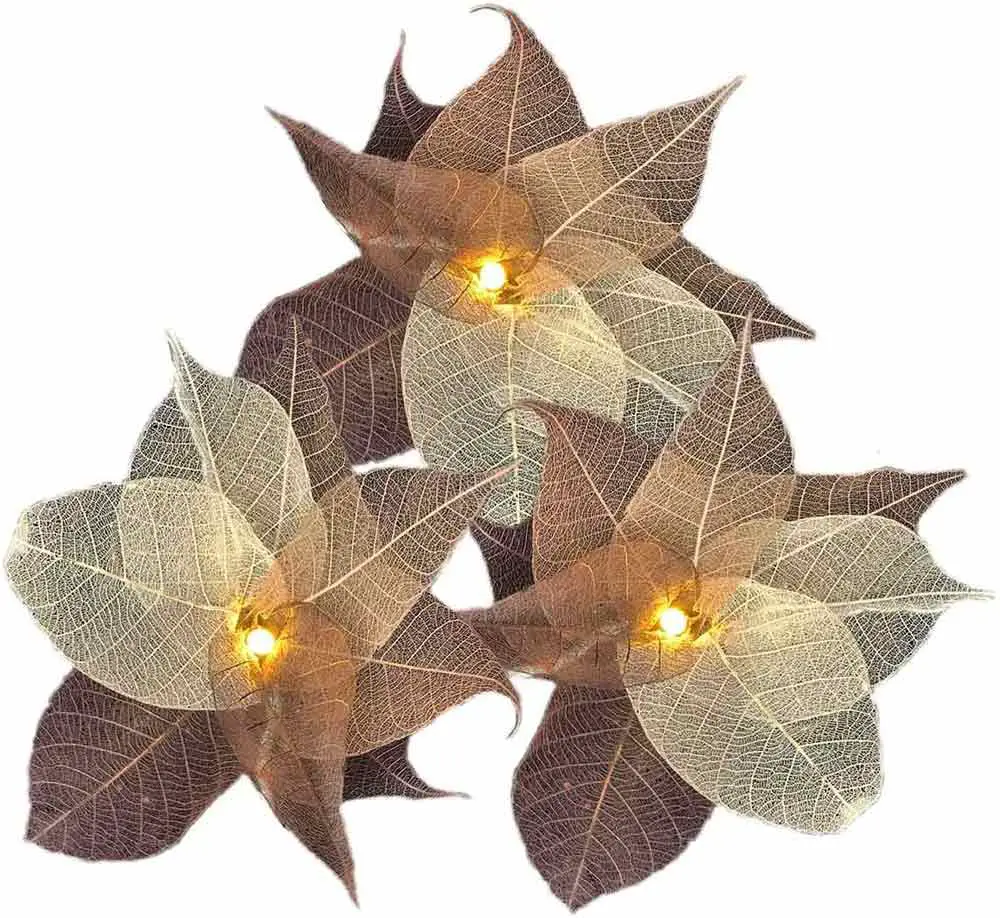 natural-leaf-fairy-lights