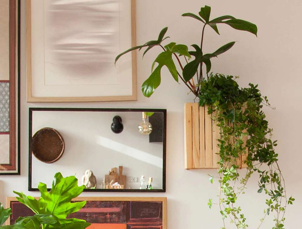 plants-and-wall-art