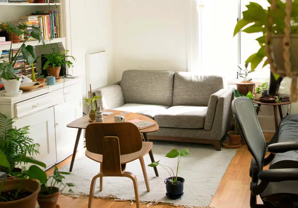 studio apartment with plants