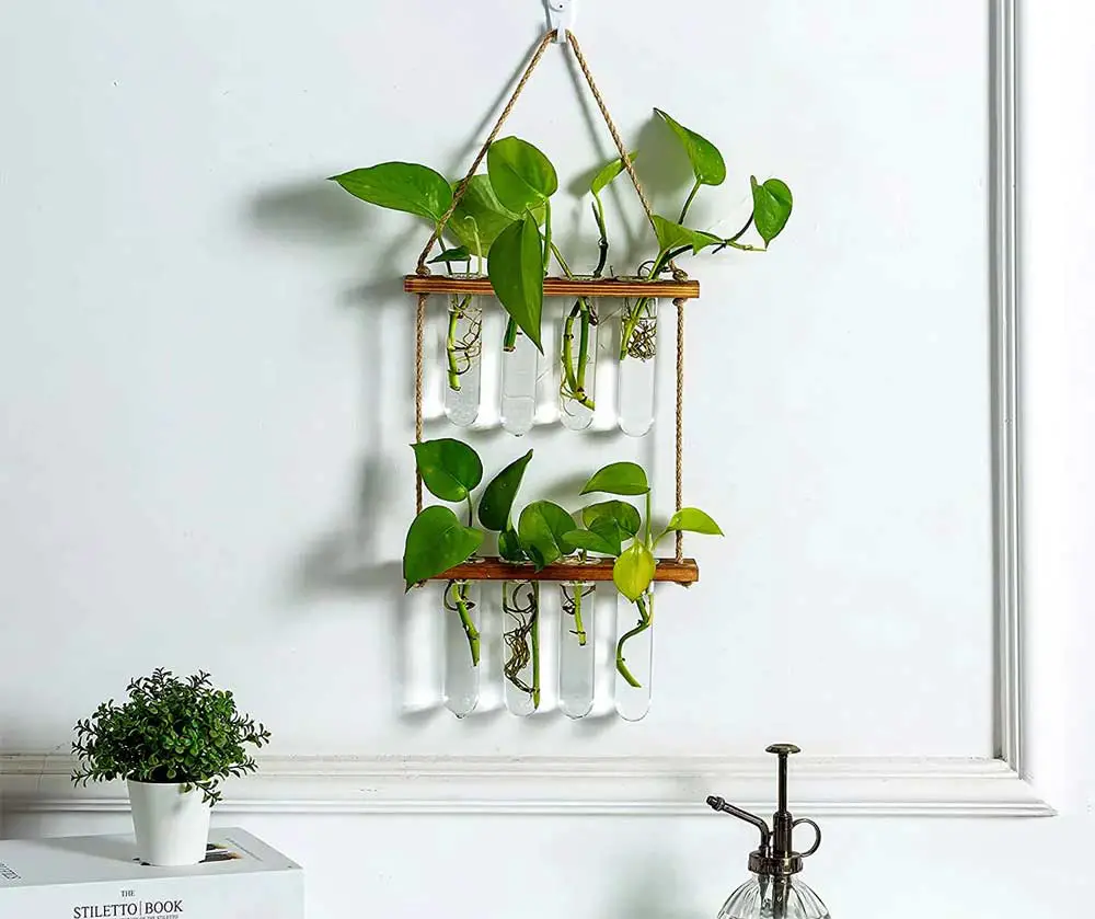 terrarium-hydroponic-plant-wall-hanging