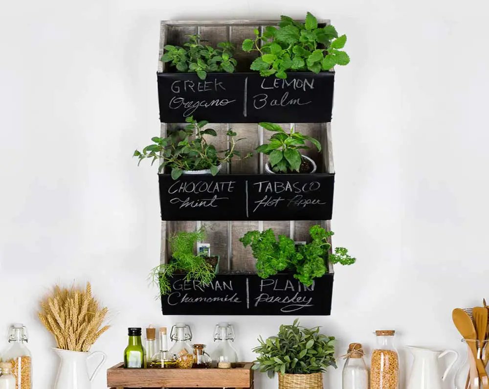 vertical-kitchen-herb-garden